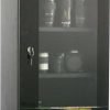 TH1002D Dry Cabinet