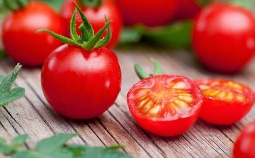 Bagaimana Menentukan Kematangan Tomat