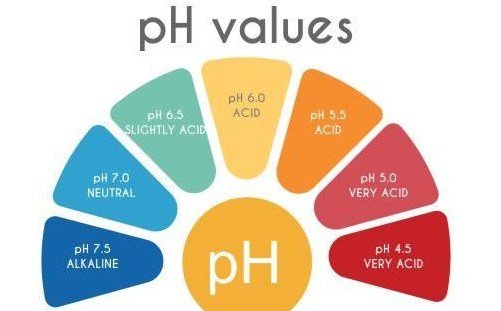 Arti pH Dalam Pengukuran pH
