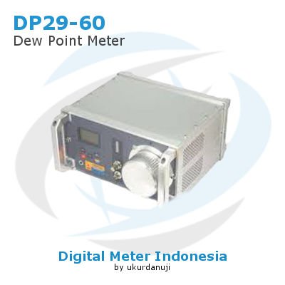 Dew Point Meter AMTAST DP29-60