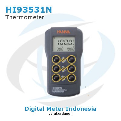 Termometer HANNA INSTRUMENTS HI93531N